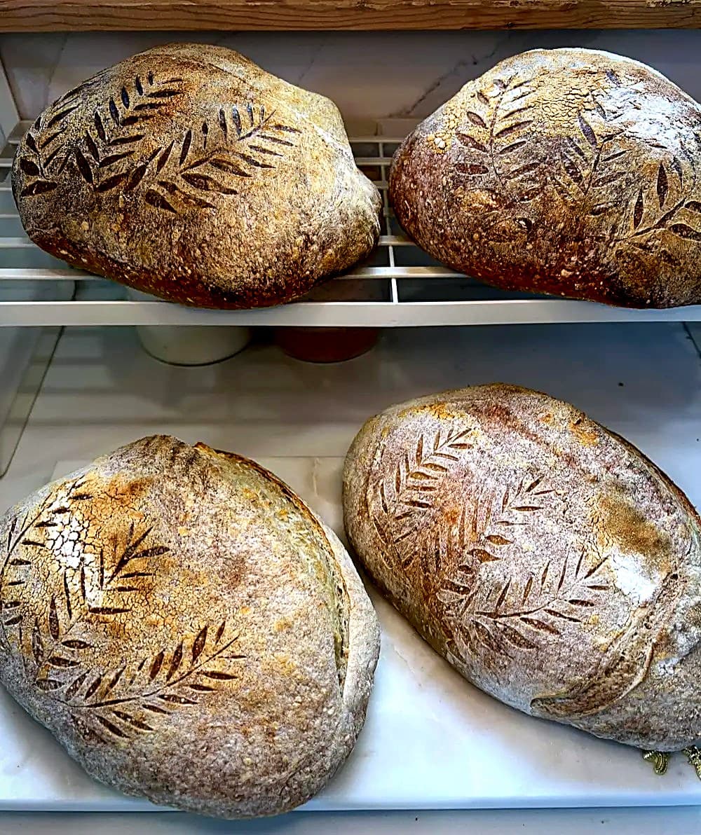 Freshly baked, hand-scored sourdough loaves cooling on the rack